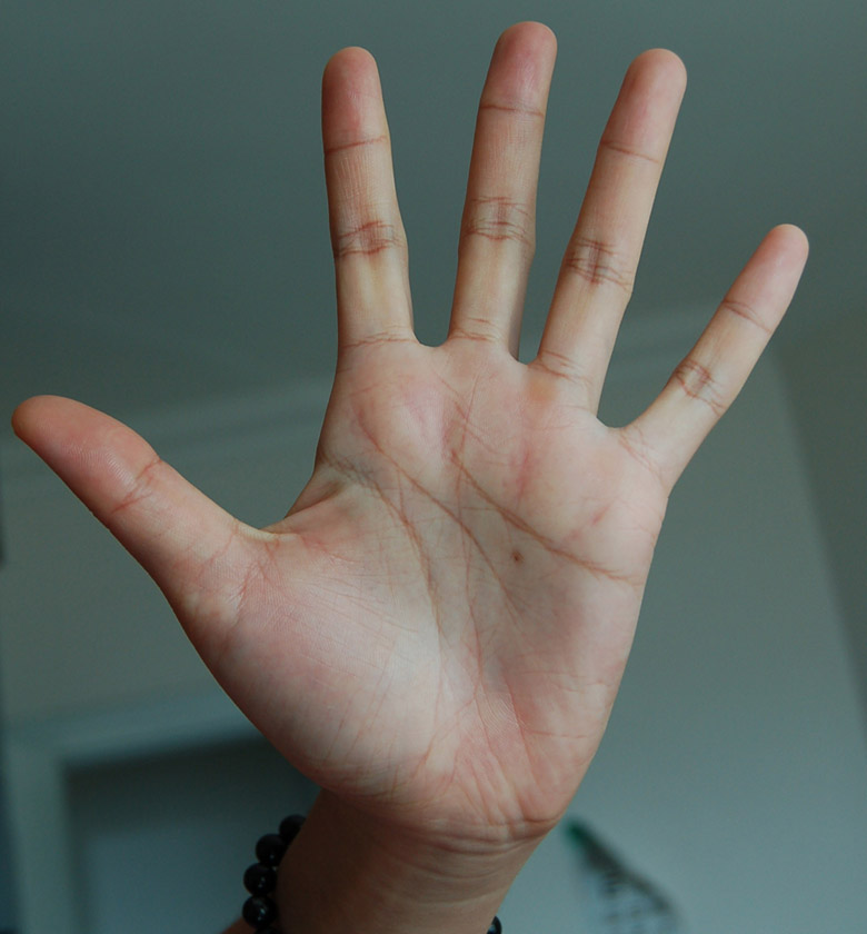 2309667-DSC_0050abbb.jpg 2309667-DSC_0050abbb.jpg