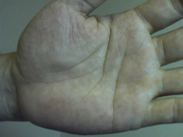 596613-圖片 51.jpg