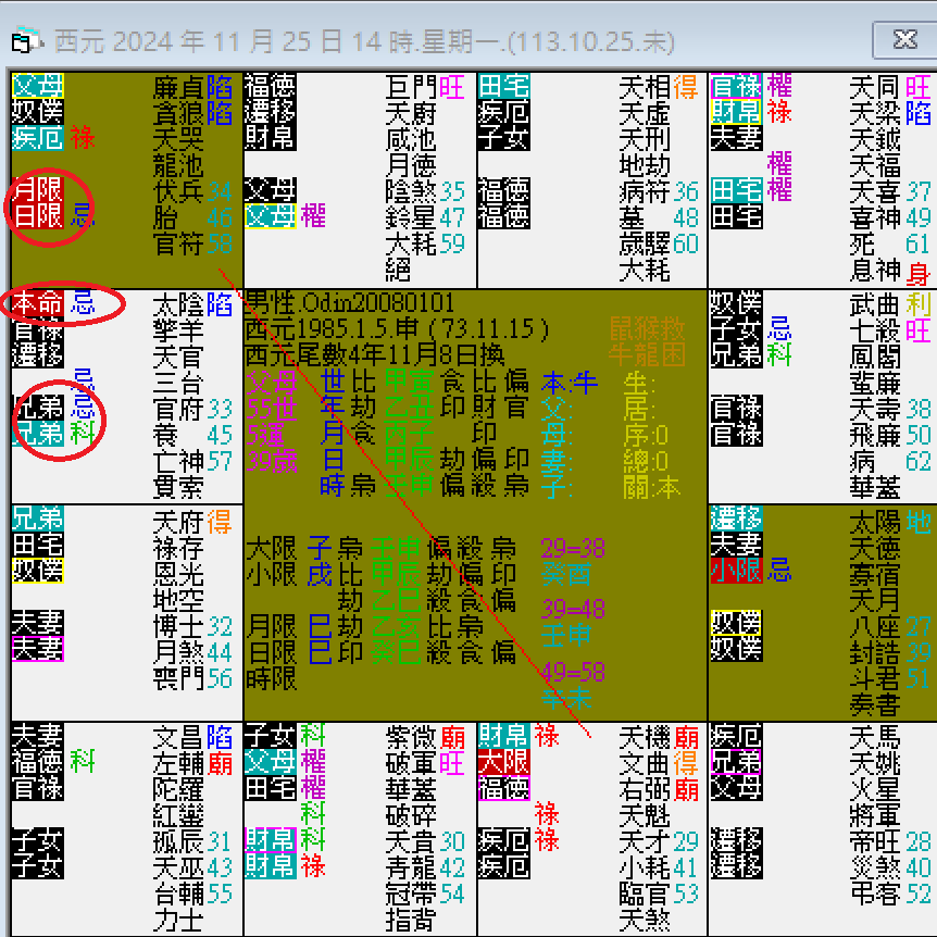螢幕擷取畫面 2024-11-25 142308.png