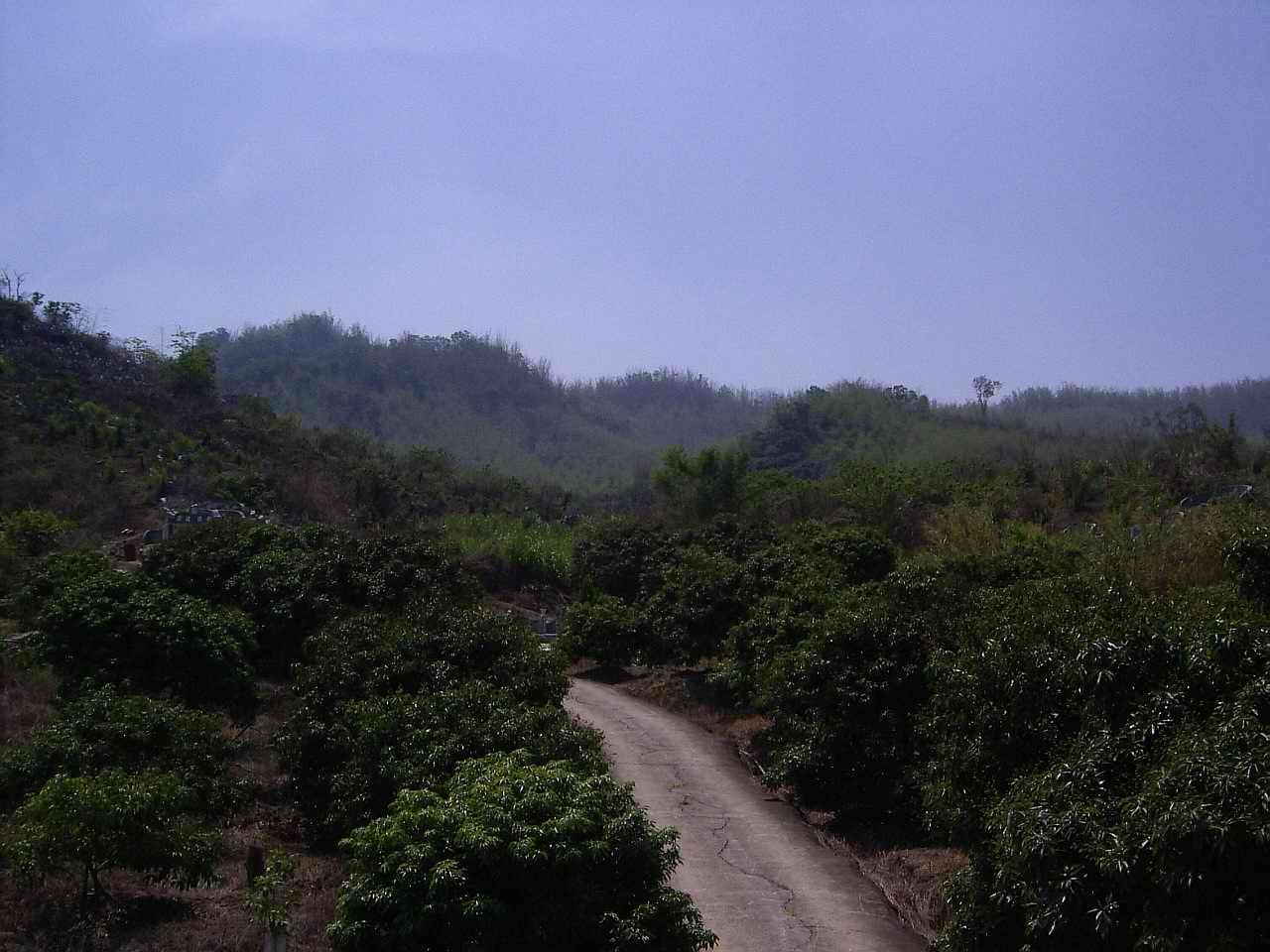 537873-照片 008.jpg