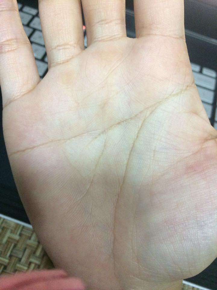 15726737_2182440018647059_6570438816436719914_n (1).jpg