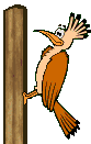 417226-Birds_Woodpecker_2_prv.gif