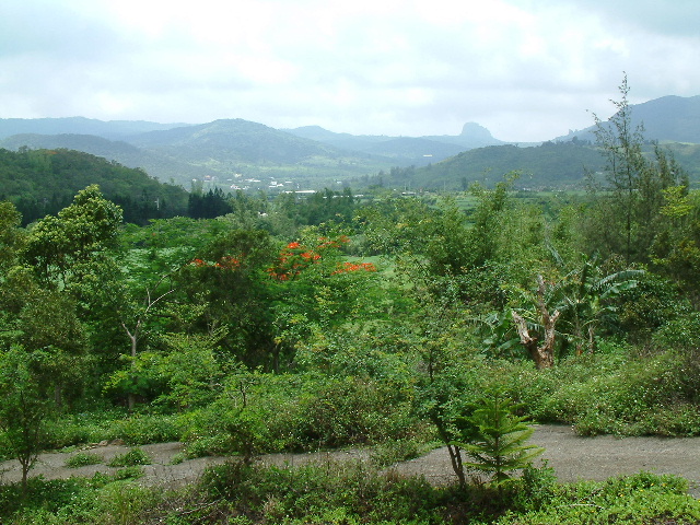 294436-920616比較正 170.JPG