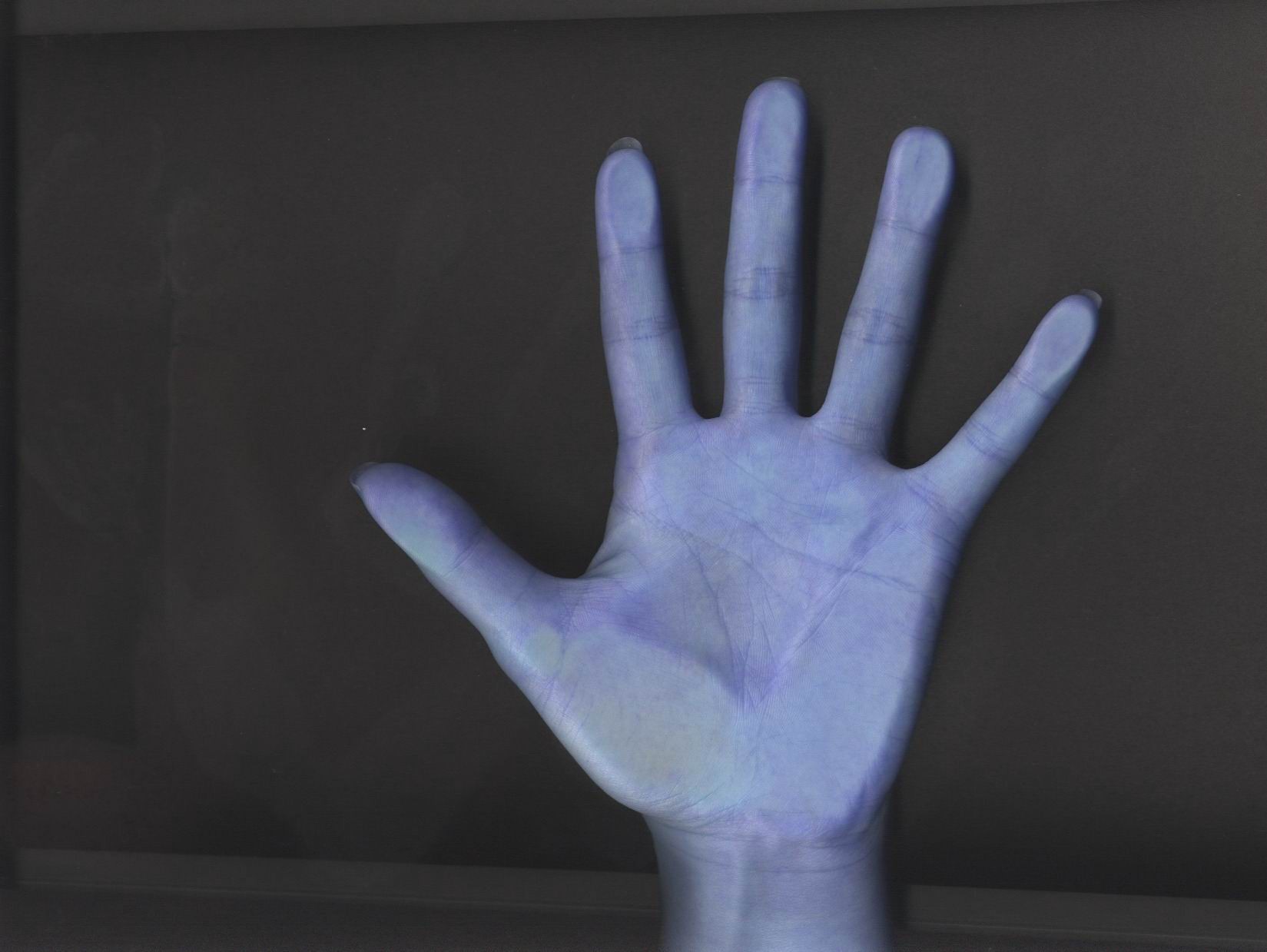 357216-left hand.jpg