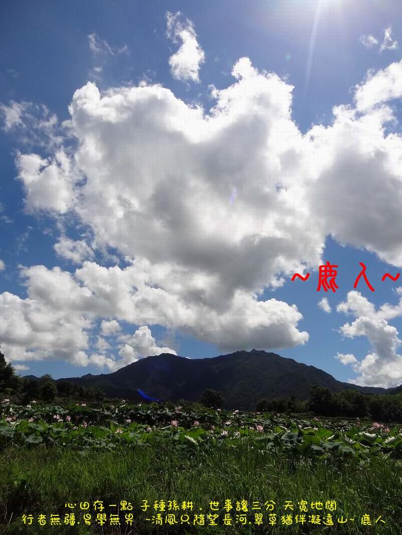 走過蓮花田_13.JPG