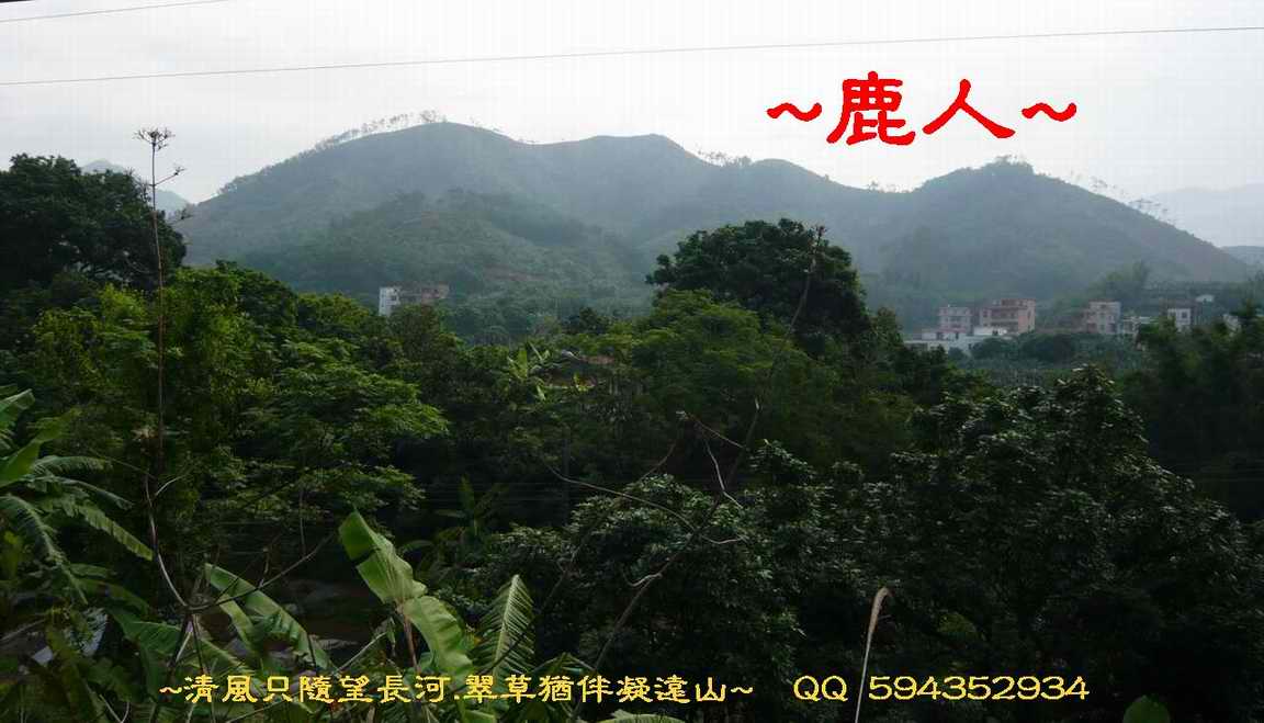 騎_2遠看穴山照.JPG