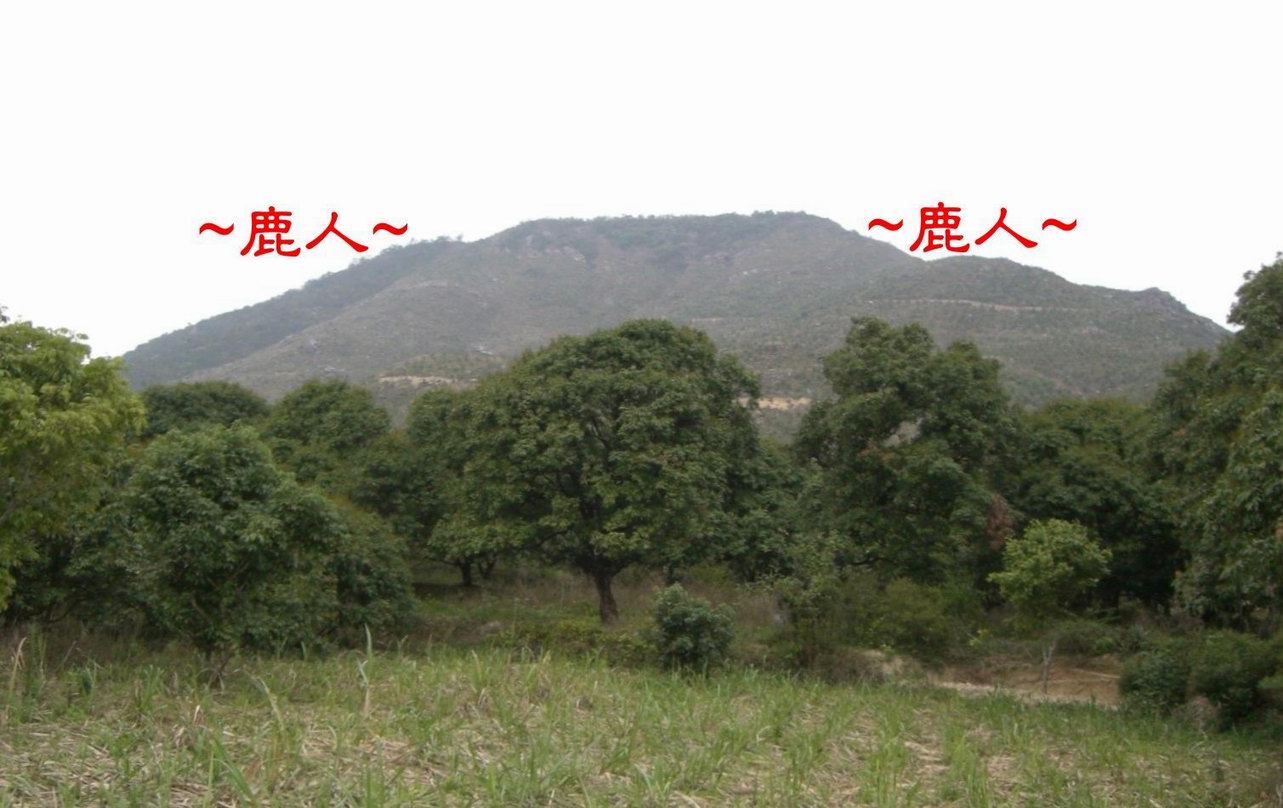2953824-10遠看穴山.JPG