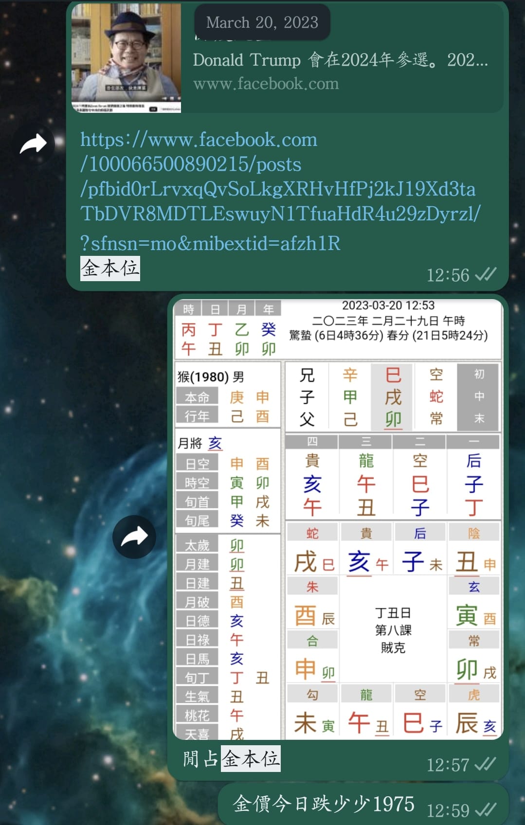 WhatsApp Image 2023-08-17 at 22.13.25.jpeg