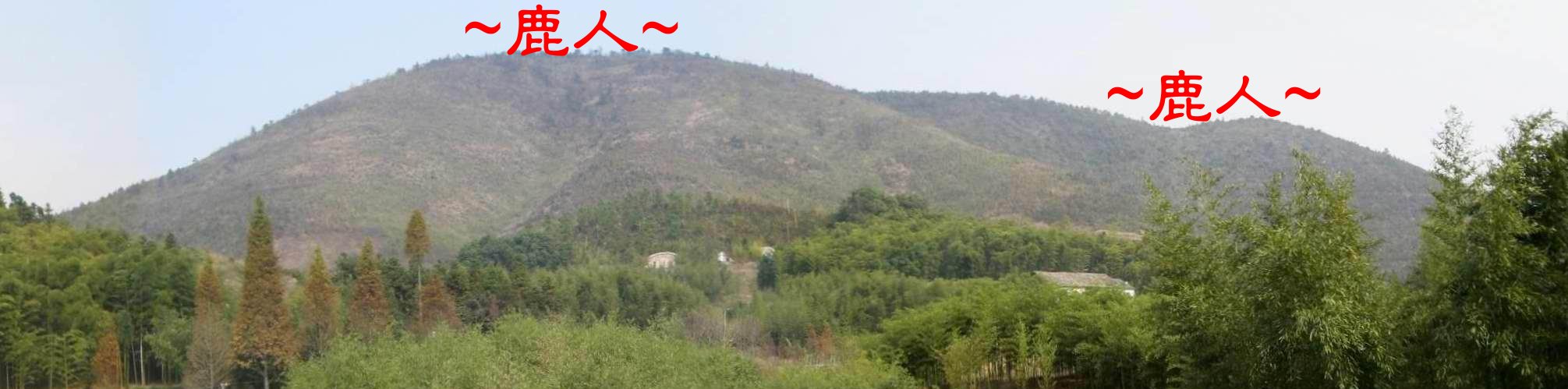 2555531-11Stitched_008.JPG 2555531-11Stitched_008.JPG