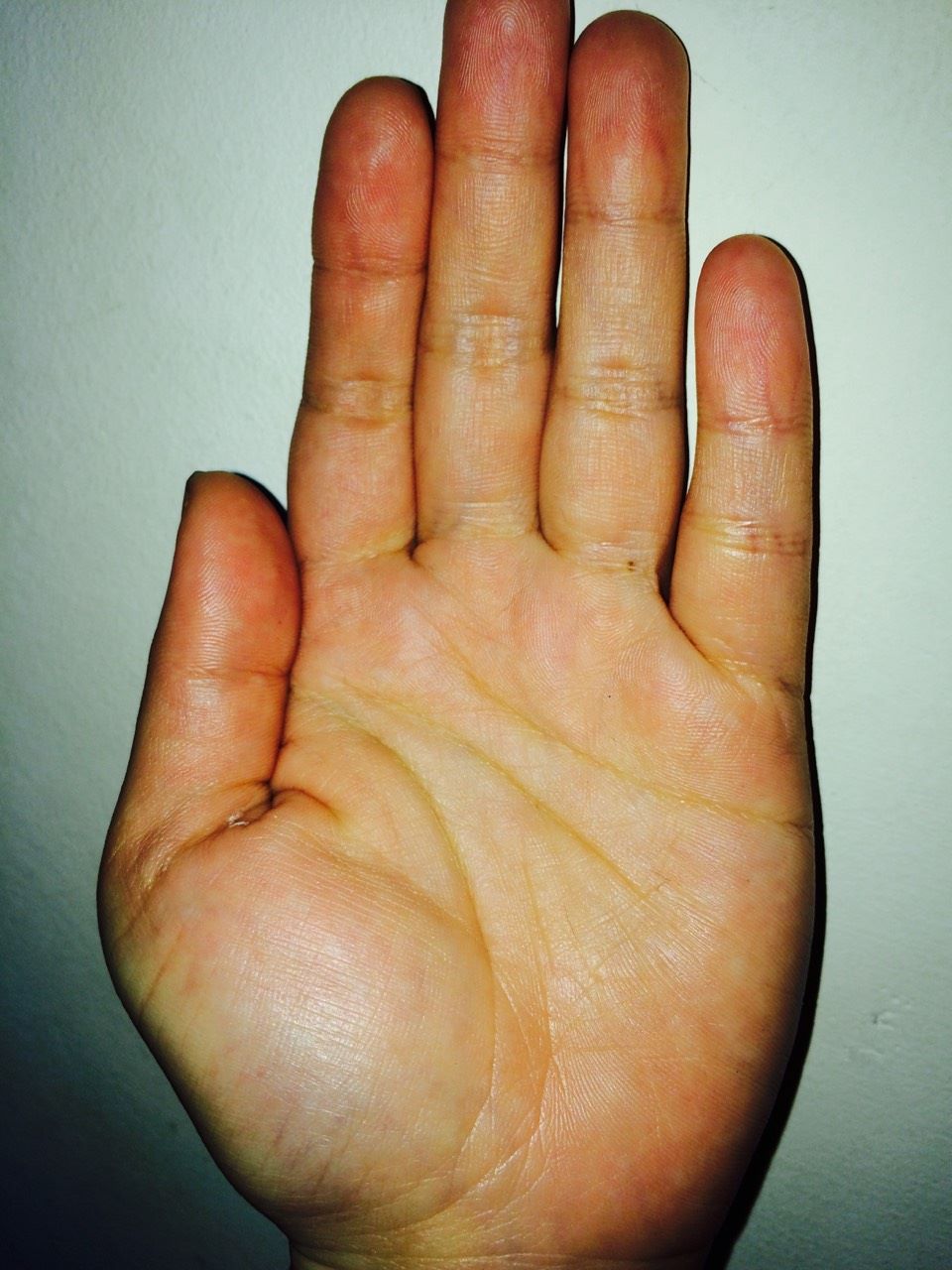 11212600_1107759189239632_6539575057827364077_o.jpg 11212600_1107759189239632_6539575057827364077_o.jpg