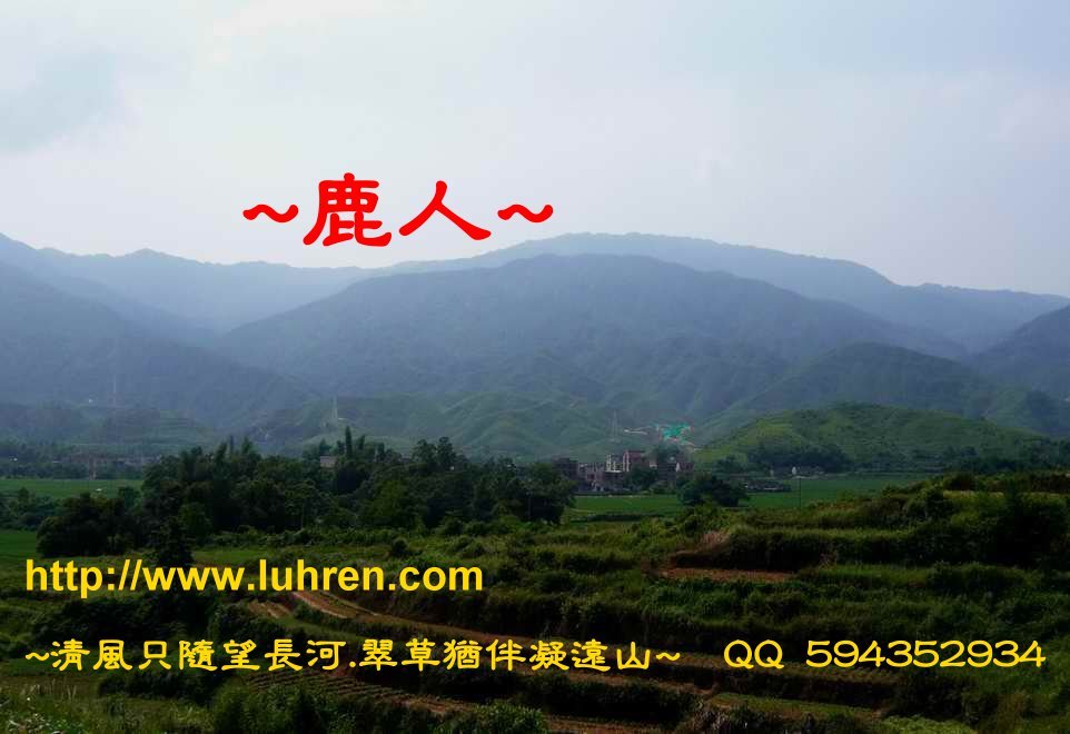 一個愛巒頭的老人看_002.jpg 一個愛巒頭的老人看_002.jpg