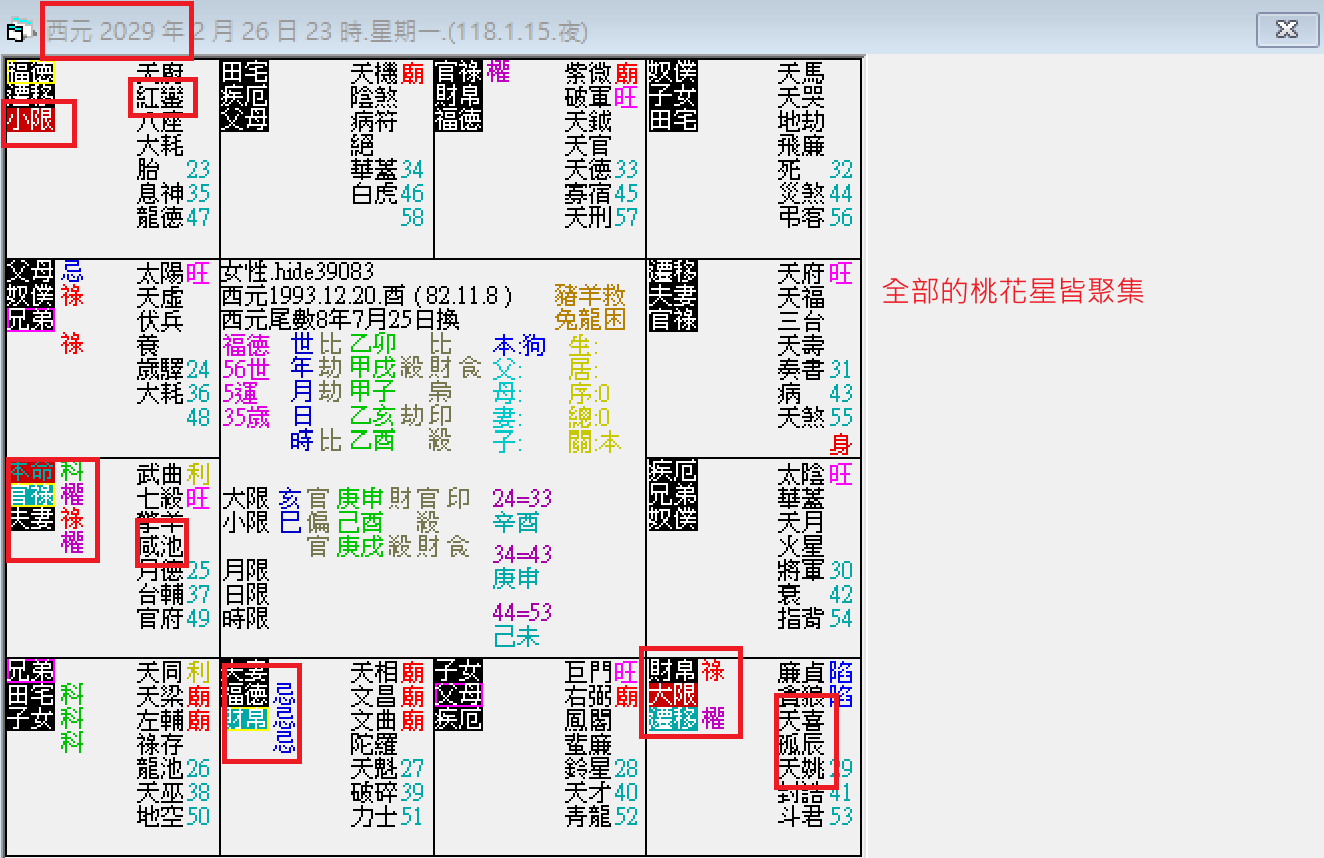 螢幕擷取畫面 2025-02-26 233819.png