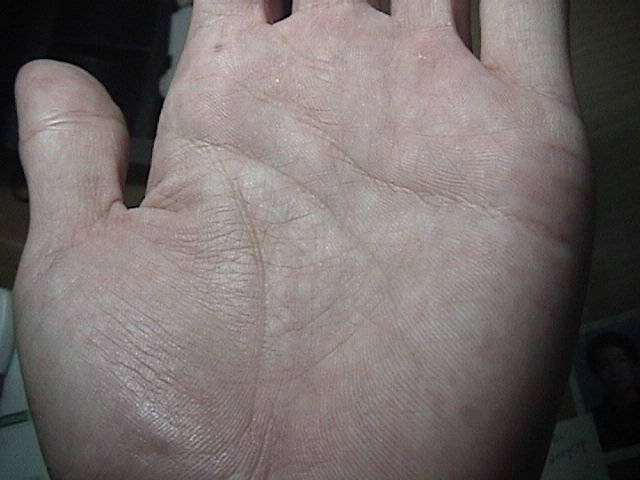 629560-貓照片 154.jpg