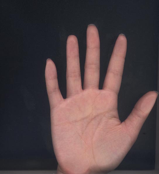 325584-right hand.JPG