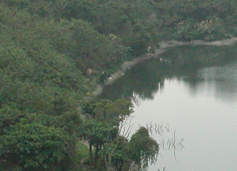 403633-12-14 0322.jpg