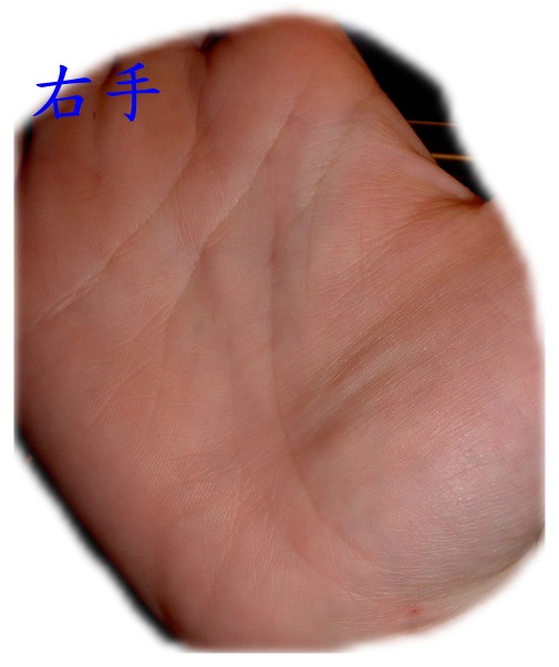 201490-右手兩條生命線.jpg