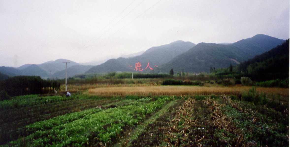 1610126-111(D)_9.jpg 1610126-111(D)_9.jpg