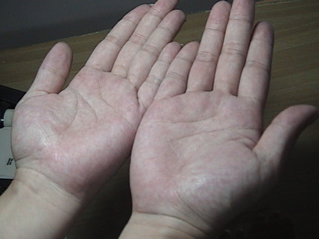 630712-貓照片 158.jpg