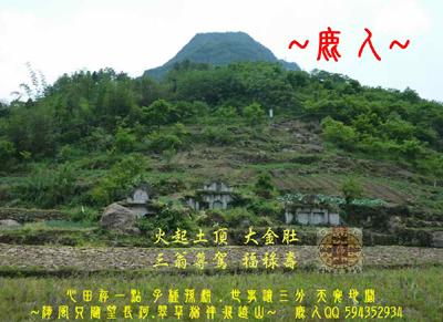 亭土_03-火起土頂 大金肚.jpg