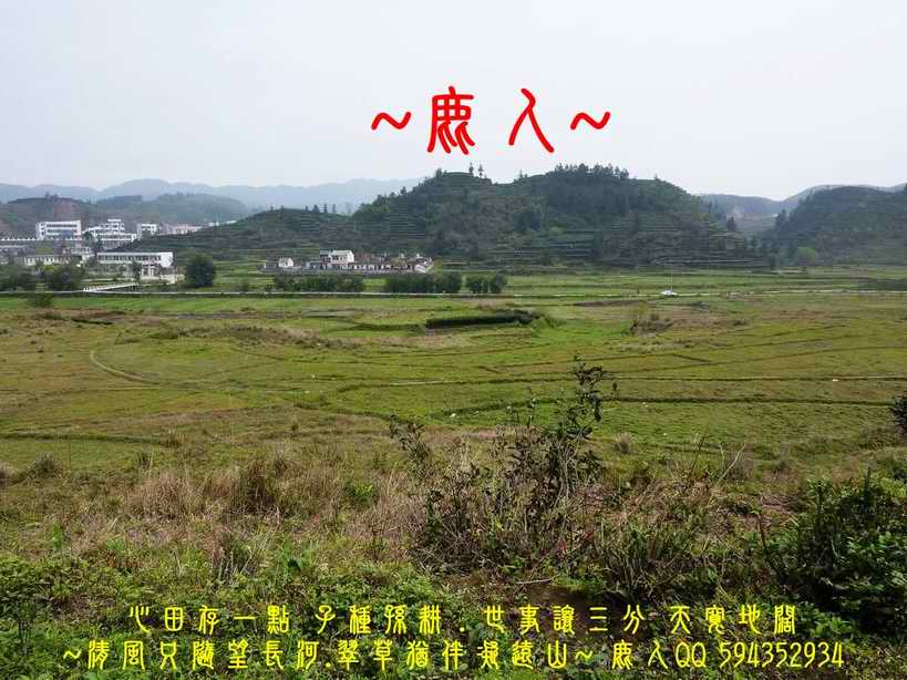 想飛6.jpg 想飛6.jpg