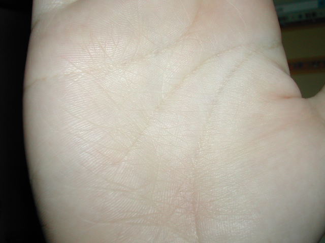 593692-照片 002.jpg