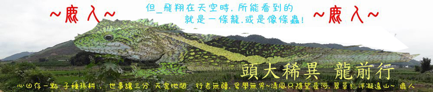 頭大稀異 龍前行.jpg 頭大稀異 龍前行.jpg