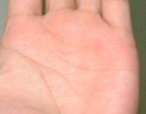 140052-未命名 - 3.jpg