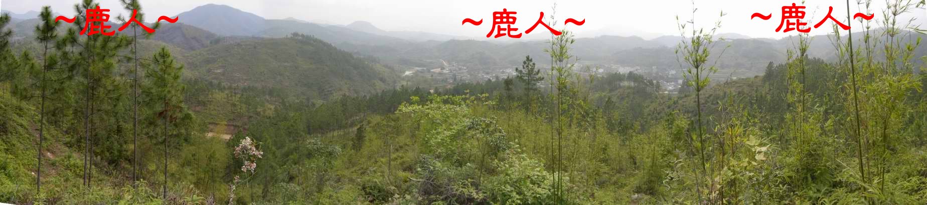 3000447-8父母山頂看堂局照.JPG