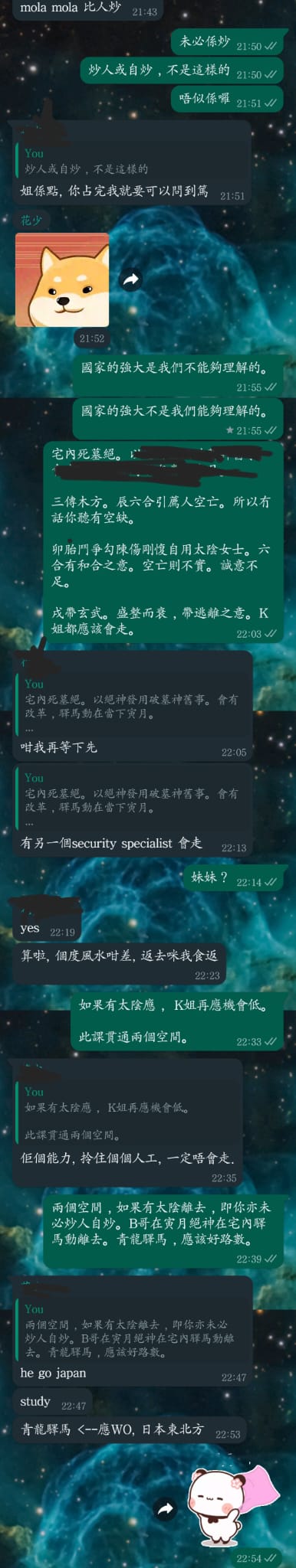 WhatsApp Image 2023-02-12 at 21.19.24.jpeg