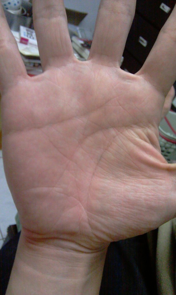 IMAG0016.jpg IMAG0016.jpg