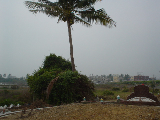 289792-照片 096.jpg