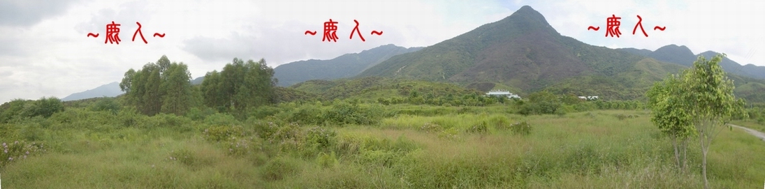 2243069-10複製遠看父母山開帳下脈與穴場全景.JPG