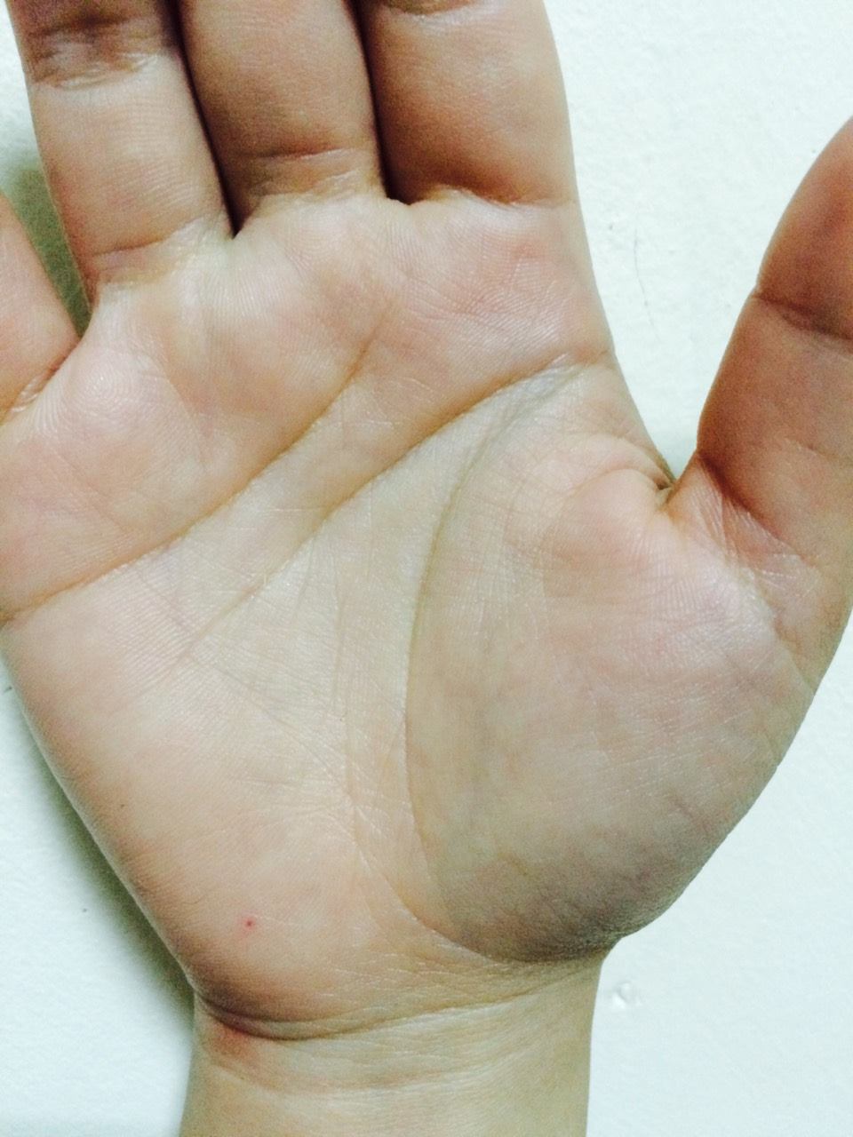 11169607_1107759179239633_3068557718088866975_o.jpg 11169607_1107759179239633_3068557718088866975_o.jpg