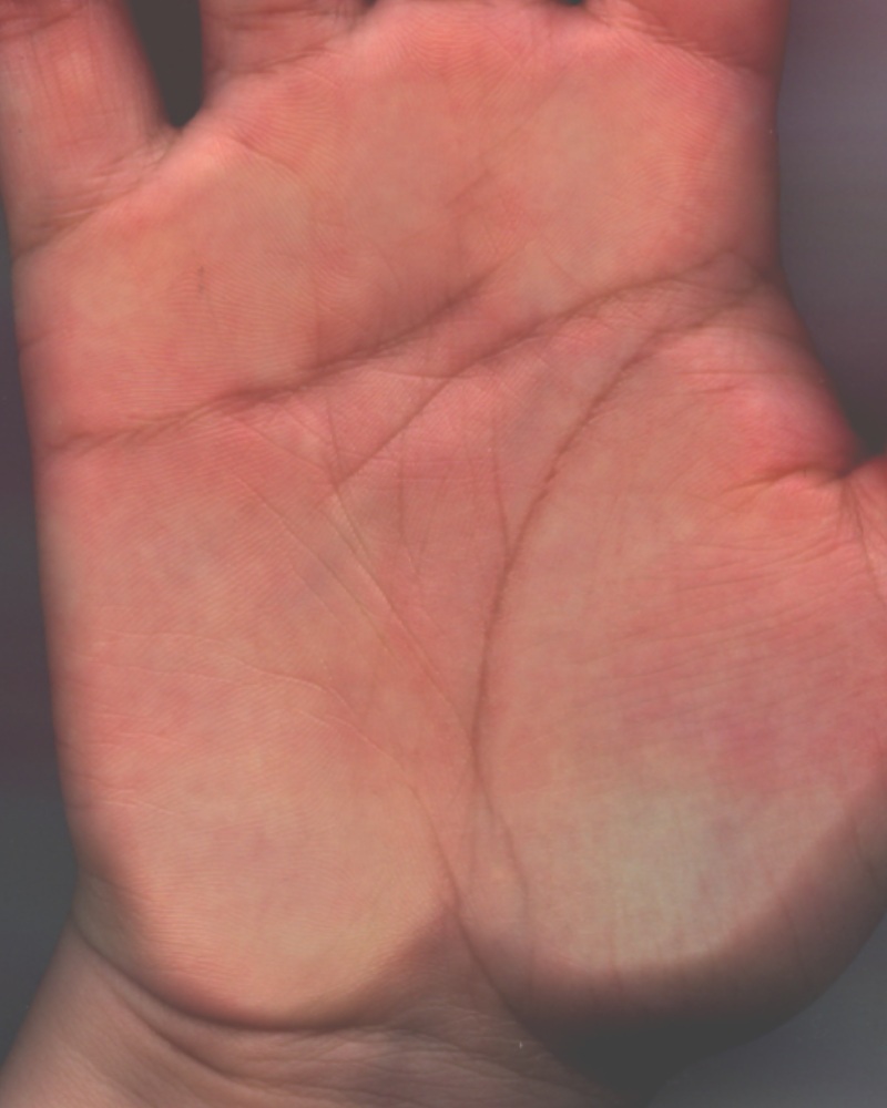 258196-未命名 - 5.jpg