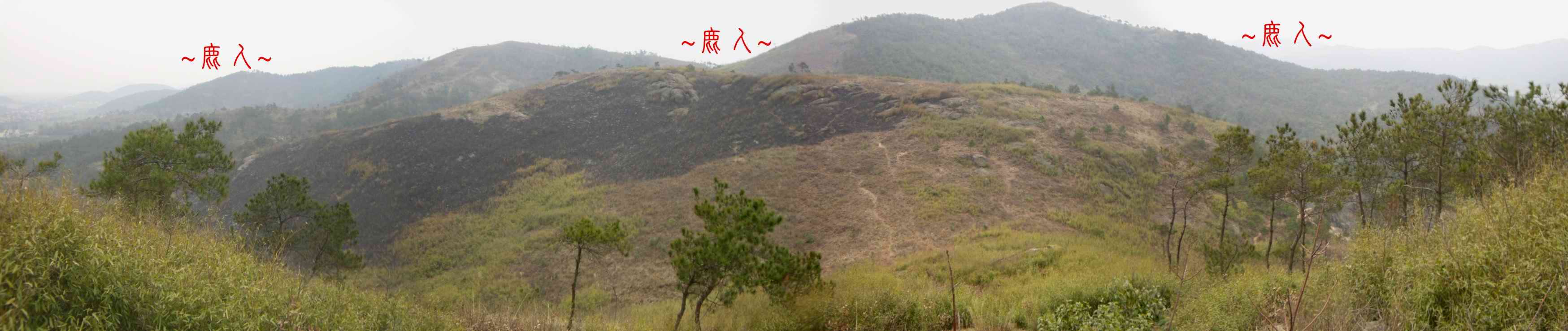 1864715-複製複製看行龍過峽一段全景.JPG