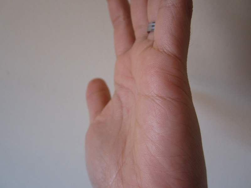 2012-11-20 10.53.13.jpg