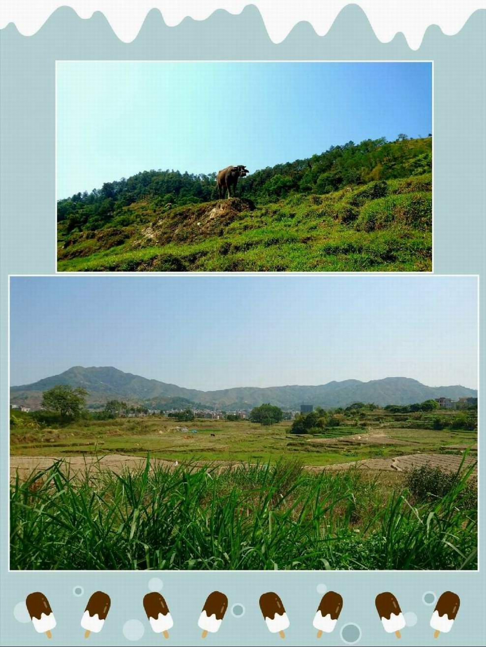 3885277.jpg 3885277.jpg