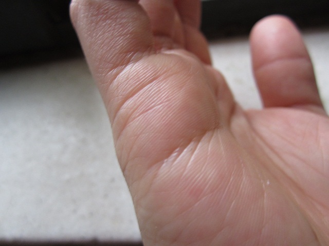 2012-11-27 15.41.57.jpg 2012-11-27 15.41.57.jpg