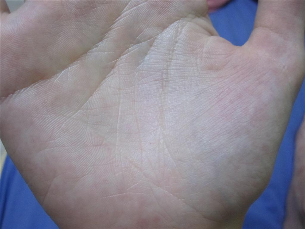 IMG_2992 (Medium).JPG