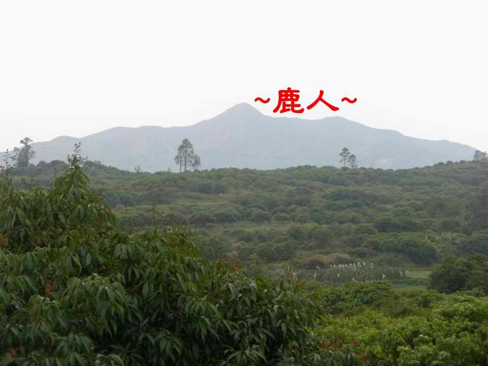 3086494-1明南山鄭公墓遠看祖山.JPG