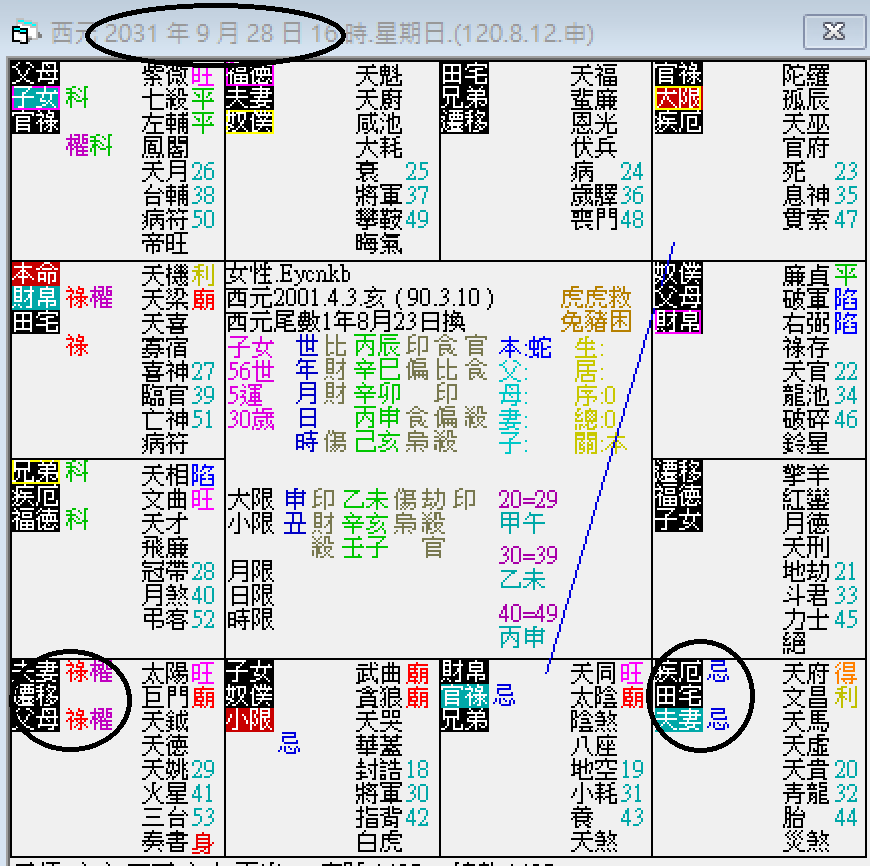 螢幕擷取畫面 2024-09-28 163801.png