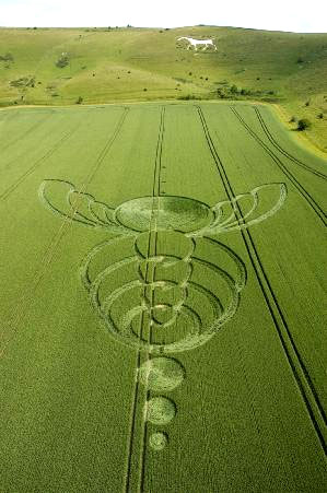 2482198-2005-4-30-cropcircle.jpg