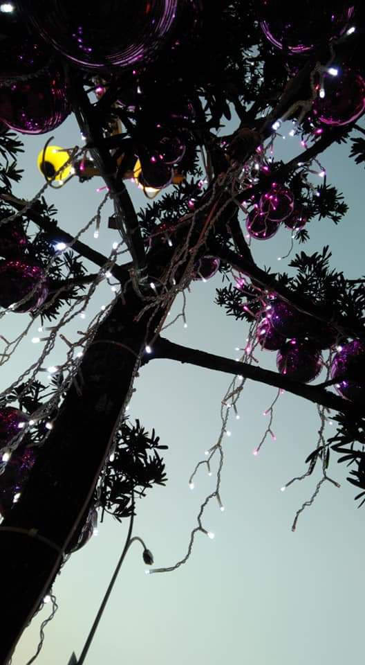 FB_IMG_1576300334796.jpg FB_IMG_1576300334796.jpg