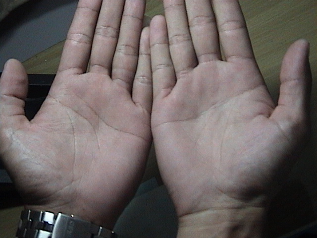 630720-貓照片 162.jpg