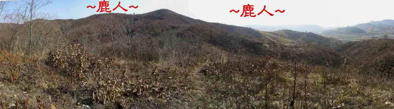 3446058-5看父母山下脈過峽與迎送護峽照.JPG