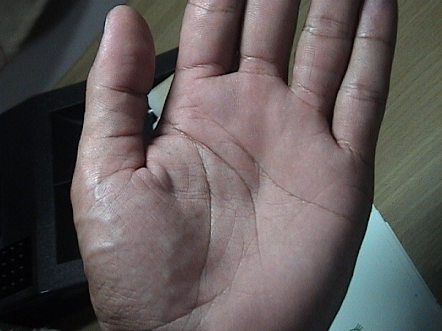 630717-貓照片 160.jpg