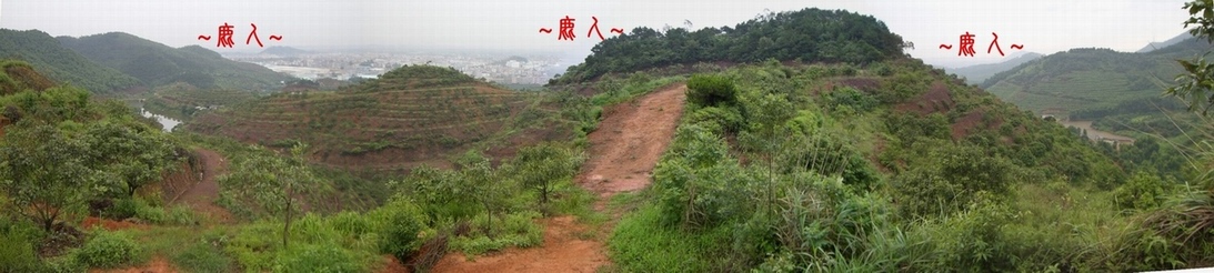 2123589-11複製看落脈行龍一段全景.JPG