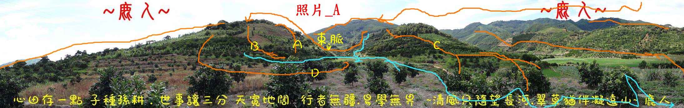 平平無奇_01(標 示).JPG