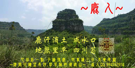 鹿汗滴土 四川筍s.jpg