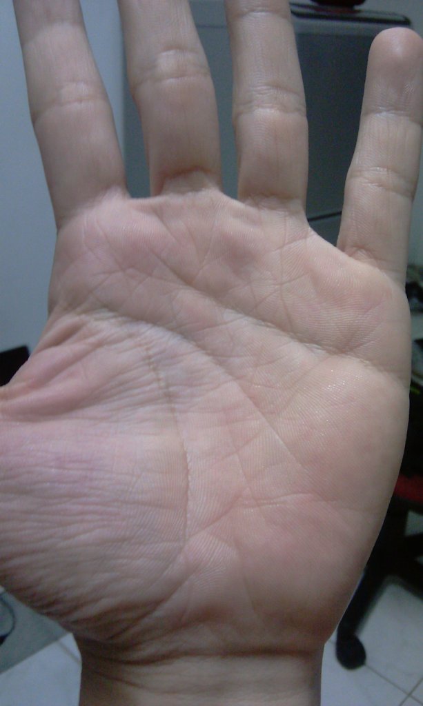 IMAG0010.jpg IMAG0010.jpg